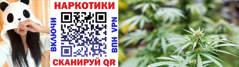 Виды наркотиков купить Долгопрудный Псилоцибиновые грибы Марихуана КОКАИН Мефедрон ГАШ