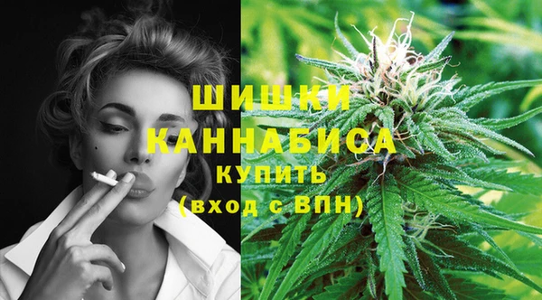 стафф Волоколамск