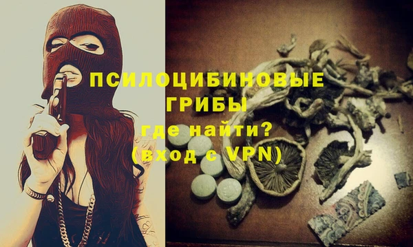 бошки Володарск