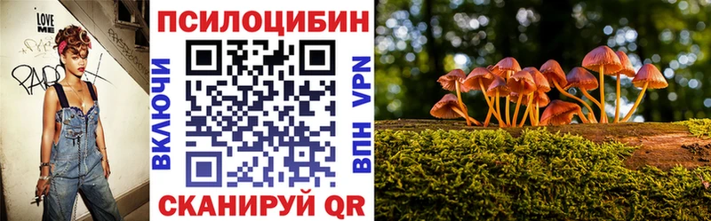магазин    Долгопрудный  Галлюциногенные грибы прущие грибы 