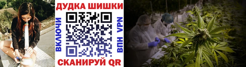 Бошки Шишки VHQ  Долгопрудный 